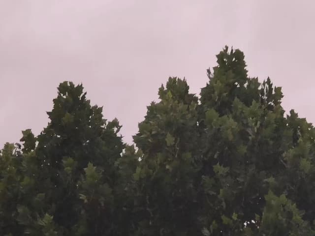 09 6月 25