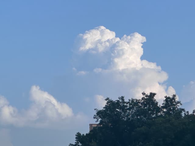 31 7月 23